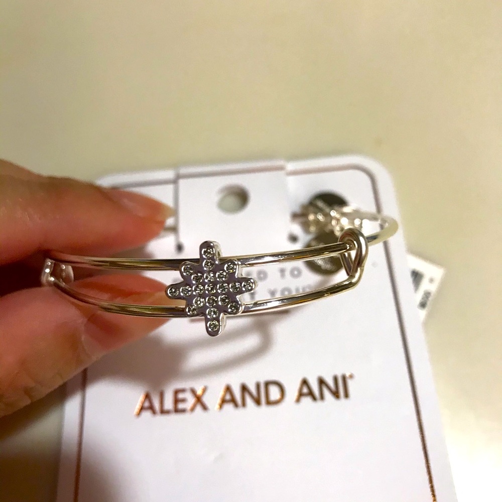 Alex & Ani Snowflake bangle
